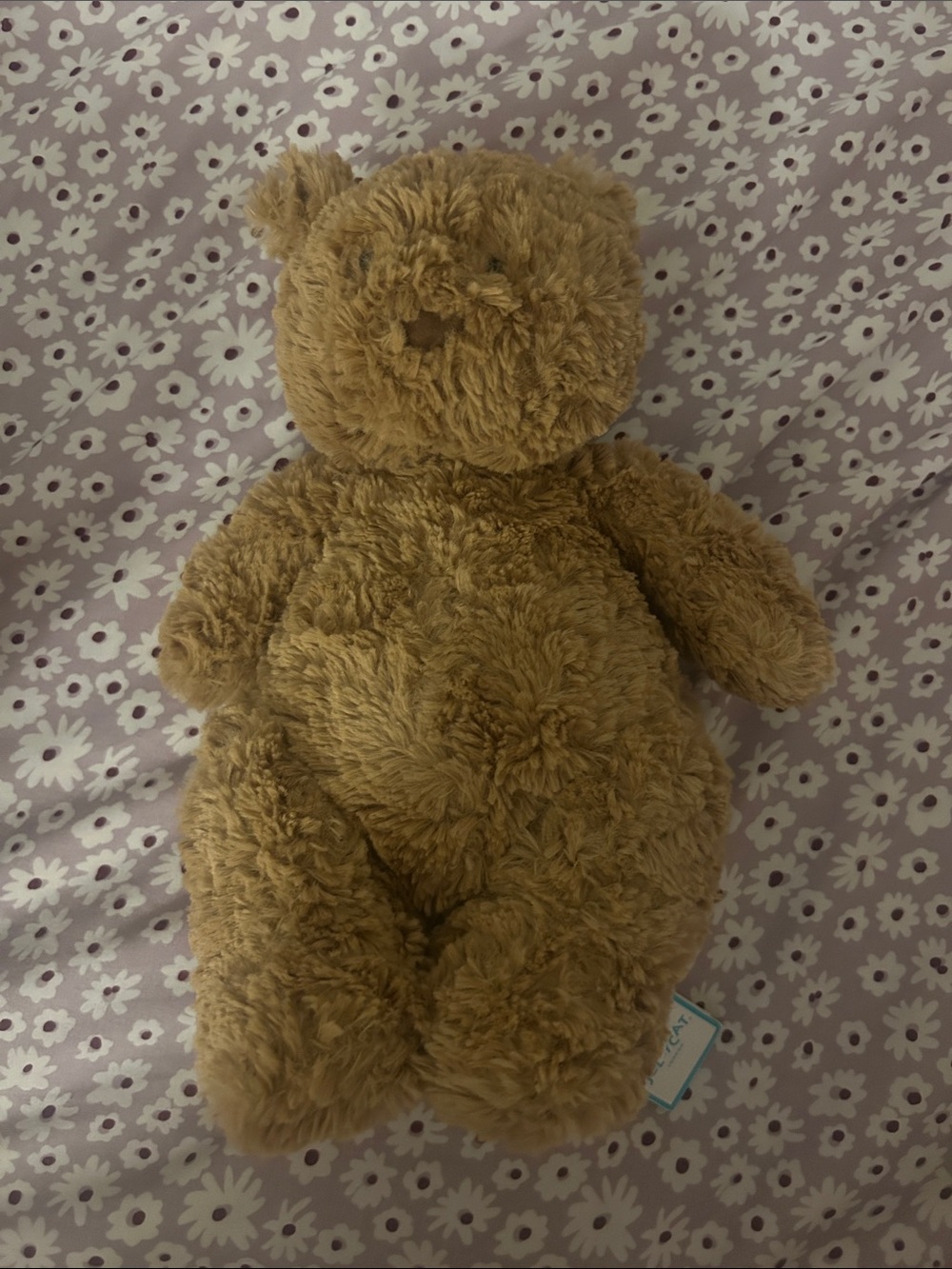 Jellycat Bartholomew the Teddy Bear Plusb